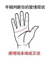 与相爱的人一起慢慢变老,这种浪漫表现在手相上就是——感情线末端