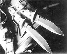 a4tjze1675143028217.jpg
