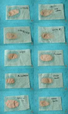 【<em>久久妹妹</em>】十款韩国气垫粉底测评【12】-新