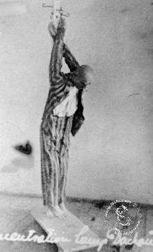 欧洲的黑太阳731 :纳粹进行活人试验的达豪集