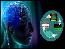 植入式脑芯片帮助行走