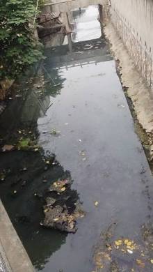 樱铁村一条小河两种命运靠景观道这段干净靠居民区那段污染(组图)