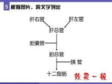 如何总结一个知识点~~~以肝外胆道为例
