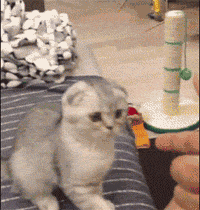 妹子你真会玩,你看懂了吗?(超喜感的动态图!)