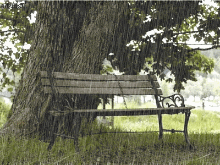 今夜 有<em>雨</em>敲窗【4】-自媒体频道-手机搜狐
