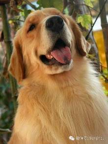 占美女便宜为什么叫吃豆腐?【9】-自媒体频道