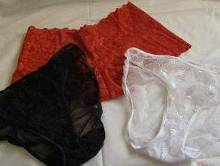 好色狗狗偷吃<em>女内裤</em>成瘾 做完手术回家继续吃