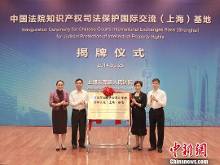 关于知识产权司法保护国际交流基地成立的研究生毕业论文开题报告范文