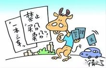 动真格,驾照新规:10月起全国驾照销分须刷身份