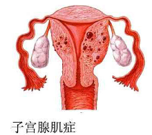 a40qg04561218433352.png