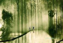 关于什么是好的德育?的毕业论文开题报告范文