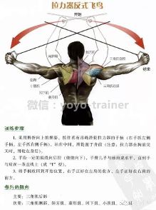 打造虎头三角肌,三角肌后束必须强大!多角度教程