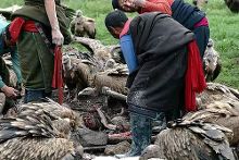 <em>一位女性</em>去西藏看<em>天葬</em>后写的感言【1】-新闻频