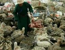 一位<em>女性</em>去西藏看<em>天葬</em>后写的感言【8】-新闻频