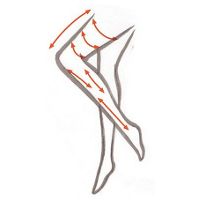 瘦全身的运动 对抗脂肪和循环不良(图)【4】-自