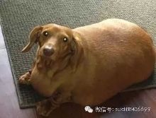 小编叨叨叨|XXOO时究竟要不要戴.天呐,这个