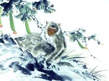 属猴和<em>属鸡</em>2015年的<em>运势</em>【1】-自媒体频道-手