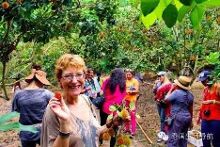 泰国现在流行水果旅游,什么水果最便宜?