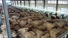 板材厂建到俄罗斯 绥阳林业局推动对俄资源开
