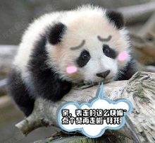 拆快递的确和解女生<em>胸罩</em>差不多/裤子<em>都脱了</em>你