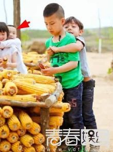 康康夏天poppy逆CP? 诺一你忘了你强吻的赵薇