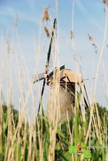 称为风车之国的荷兰传奇故事【6】-新闻频道