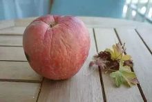 什么时候做微整形,最好?