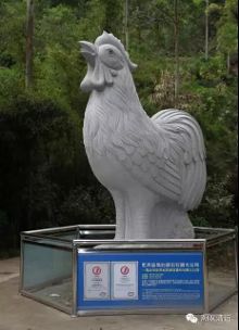 清远金鸡岩年卡、门票免费送!你敢来我敢送!