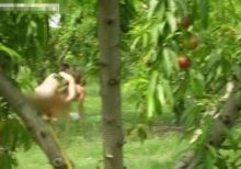 大学生情侣激情打野战遭偷拍 场面犹如三级片