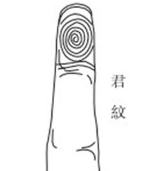 五,君纹