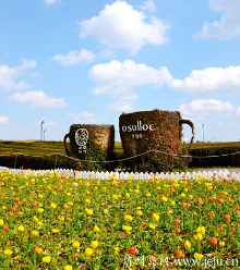 济州岛主题观光景点有哪些?怪坡-神秘道路等的