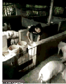 [内涵]中间的妹子的姿势有点太邪恶【1】-笑话频道-手机搜狐