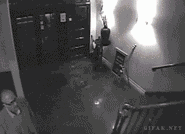 小图  快放我下来,愚蠢的人类!   容我淡定的装逼