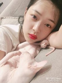 雪莉直播与猫玩耍,是虐猫还是吸猫?