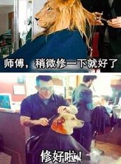 去<em>剪头发</em>一定要知道这些,别让理发师<em>毁了</em>你!【