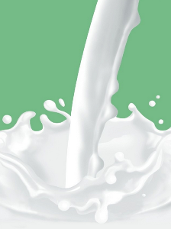 10种人不宜喝牛奶【1】-新闻频道-手机搜狐