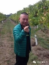 真是赚啊!郭德纲的德云葡萄酒卖到手软【1】-