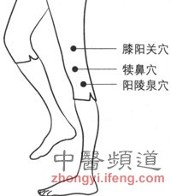 阳陵泉穴