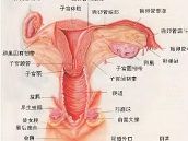 <em>导致处女膜破裂的原因</em>有哪些?【1】-新闻频道