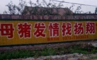 吐槽:一夜情不好女子打呼噜