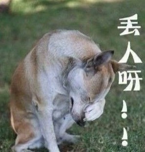 神吐槽:蛋疼学者给生殖器写史