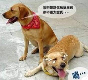 享儿change > 爸爸让女儿享受性快乐 > yy享儿不小心漏 ...