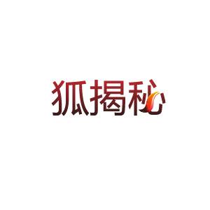 为何两次举报宋林案效果悬殊