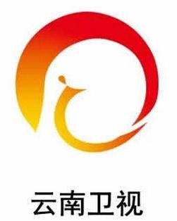 收入证明_云南卫视 广告收入(3)
