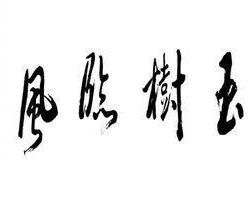 马云晒20年前帅气旧照 自称玉树临风