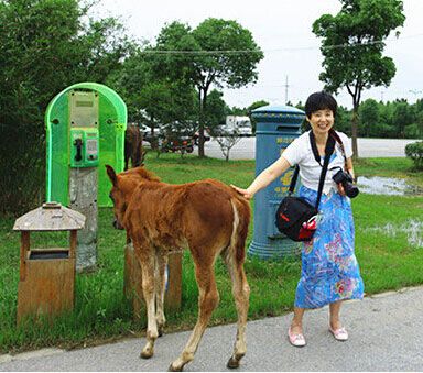 高级黑:国足终扬眉吐气 范加尔设局保曼联帅位