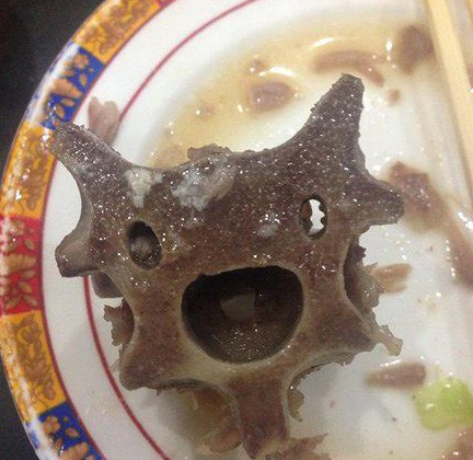 狐诌556季-墓志铭求妹子棺震